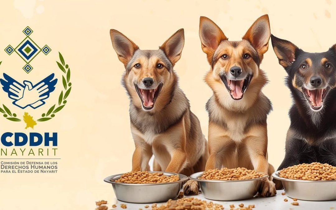 Participa en el croquetón 2024 y las jornadas de promoción por los derechos de los animales no humanos.