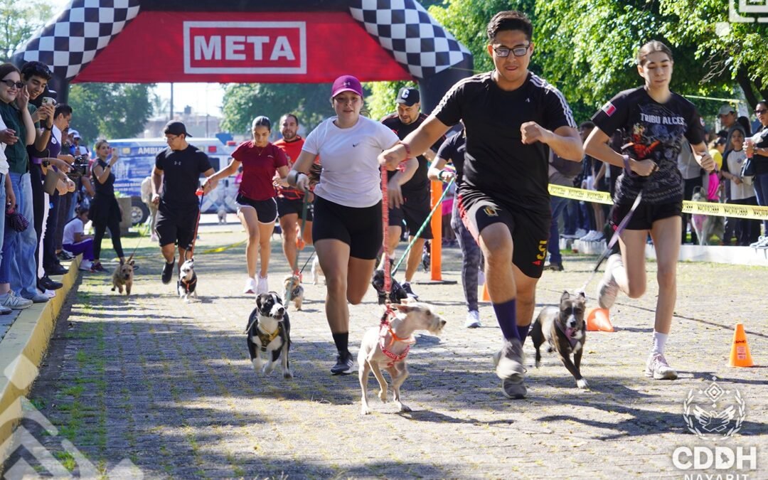 𝗔𝗹𝗲𝗴𝗿𝗶́𝗮, 𝗱𝗶𝘃𝗲𝗿𝘀𝗶𝗼́𝗻, 𝗲𝗷𝗲𝗿𝗰𝗶𝗰𝗶𝗼, 𝘀𝗮𝗹𝘂𝗱 𝘆 𝗹𝗼𝗺𝗶𝘁𝗼𝘀 𝗲𝘀𝘁𝗲 𝗱𝗼𝗺𝗶𝗻𝗴𝗼 𝗲𝗻 𝗹𝗮 𝗖𝗮𝗿𝗿𝗲𝗿𝗮 𝗱𝗲 𝗣𝗲𝗿𝗿𝗶𝘁𝗼𝘀 𝟮𝟬𝟮𝟱.