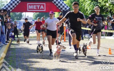 𝗔𝗹𝗲𝗴𝗿𝗶́𝗮, 𝗱𝗶𝘃𝗲𝗿𝘀𝗶𝗼́𝗻, 𝗲𝗷𝗲𝗿𝗰𝗶𝗰𝗶𝗼, 𝘀𝗮𝗹𝘂𝗱 𝘆 𝗹𝗼𝗺𝗶𝘁𝗼𝘀 𝗲𝘀𝘁𝗲 𝗱𝗼𝗺𝗶𝗻𝗴𝗼 𝗲𝗻 𝗹𝗮 𝗖𝗮𝗿𝗿𝗲𝗿𝗮 𝗱𝗲 𝗣𝗲𝗿𝗿𝗶𝘁𝗼𝘀 𝟮𝟬𝟮𝟱.