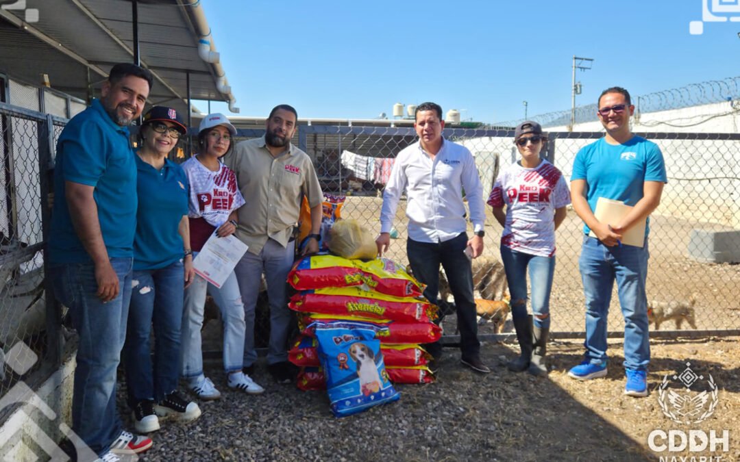 ¡Un día de patitas y corazones llenos!