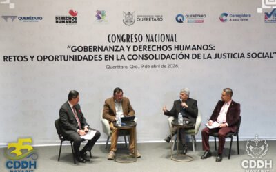 ¿Cuales son los desafíos para construir políticas de seguridad eficaces y respetuosas de los derechos humanos?
